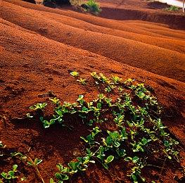 索尼移除PS商店烦人功能 领免费游戏不再发电子账单